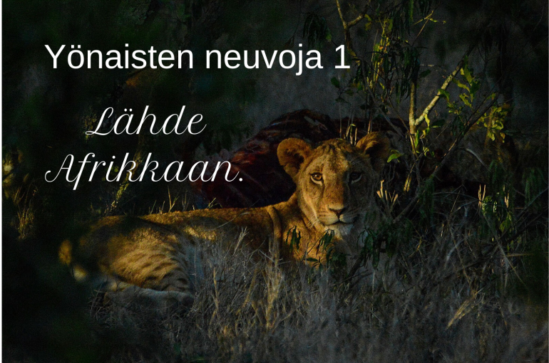 Naiset joita ajattelen öisin feature