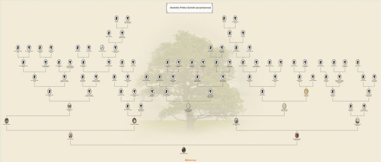 Myheritage sukupuu