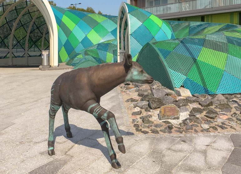 Lotta Mattila Niittykumpu