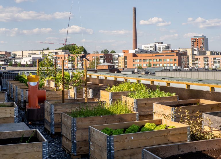 Kattopuutarha Finlayson