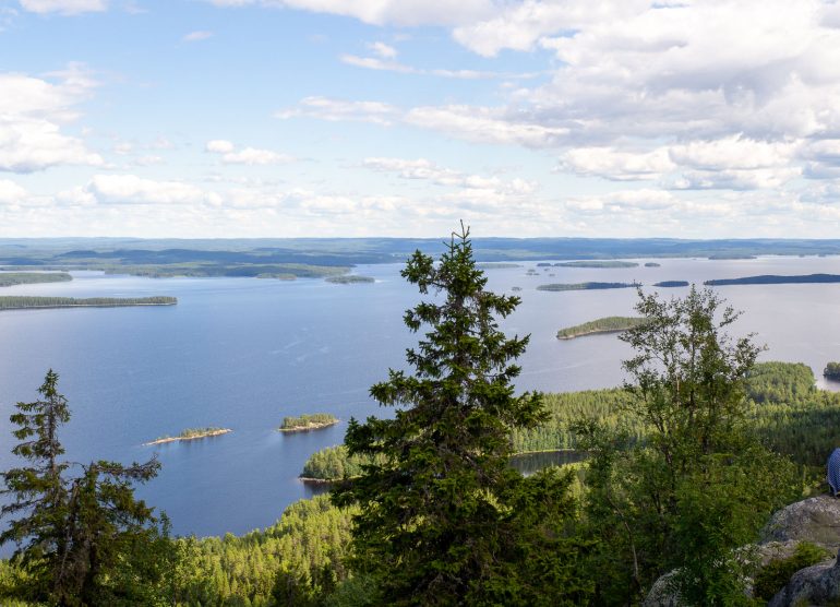 Koli Roadtrip Nurmekseen