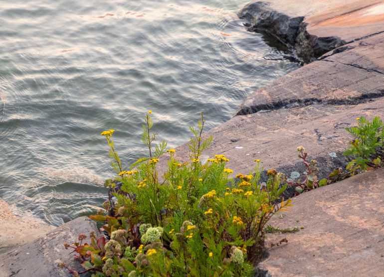 Nolla Laguuni Keilaniemi