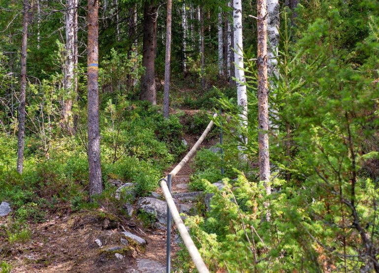 Kohtavaara Nurmes luontoa ja luksusta