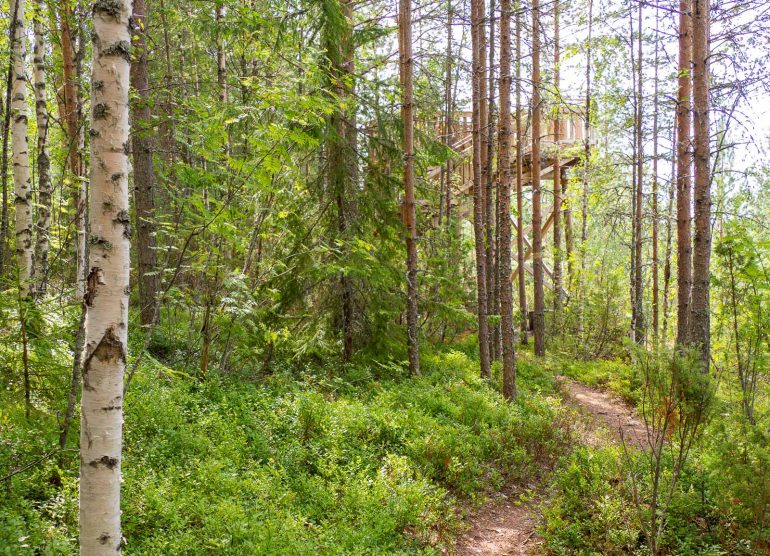 Kohtavaara Nurmes luontoa ja luksusta