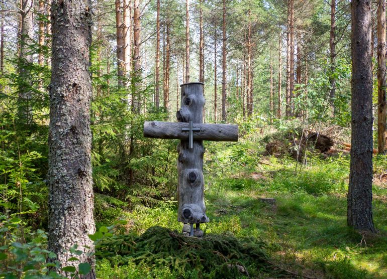 Kohtavaara Nurmes luontoa ja luksusta