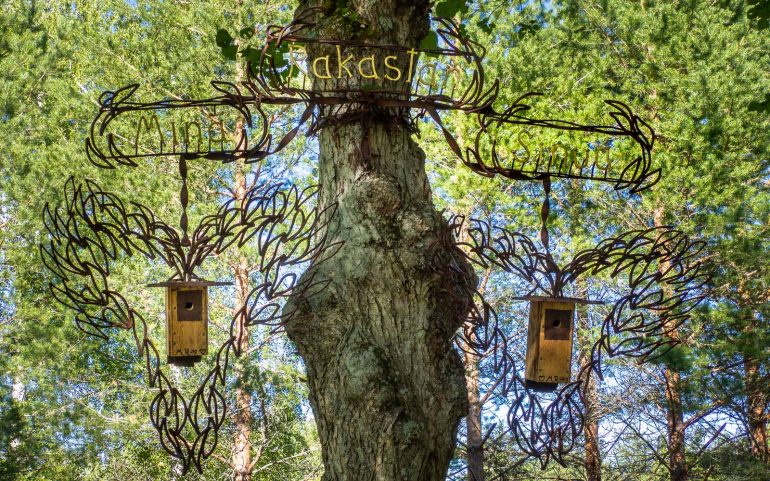 Aseman taidelaituri Punkaharju