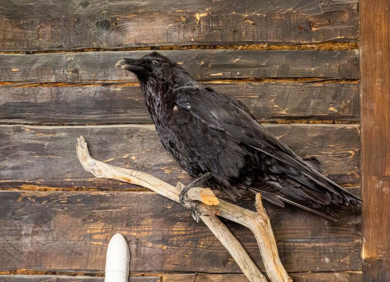 Aseman taidelaituri Punkaharju