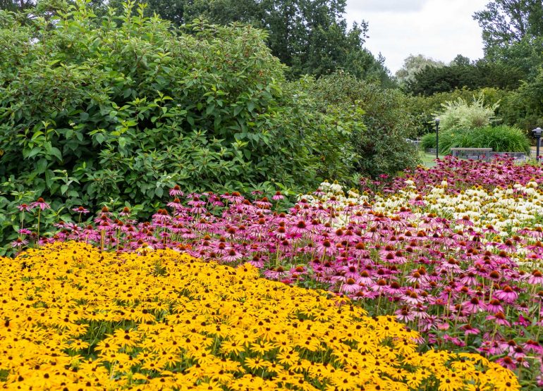 Kupittaan puisto Turku