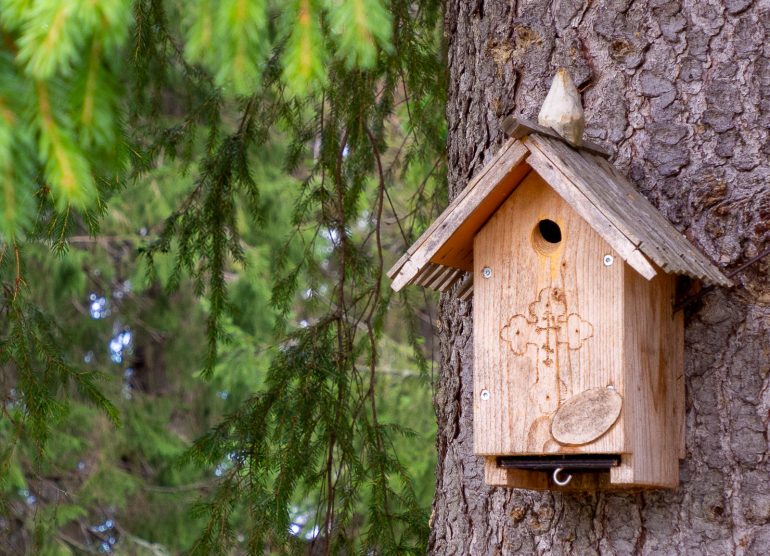 Tsasouna linnunpönttö