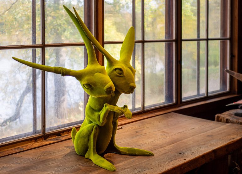 Halosenniemi Tuusulanjärvi