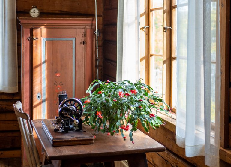 Halosenniemi Tuusula