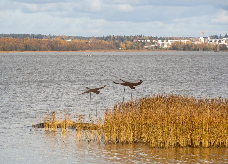 Halosenniemi Tuusulanjärvi joutsenet järvellä