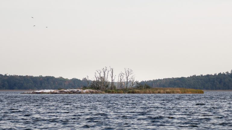 Tammisaaren saariston kansallispuisto