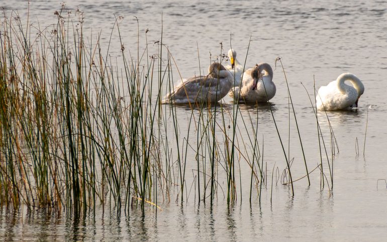 Tammisaaren saariston kansallispuisto