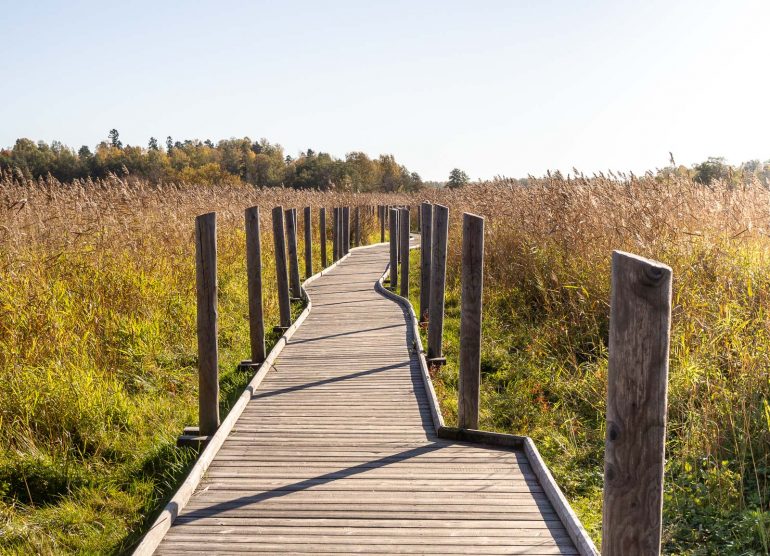 Lammassaaren pitkospuut