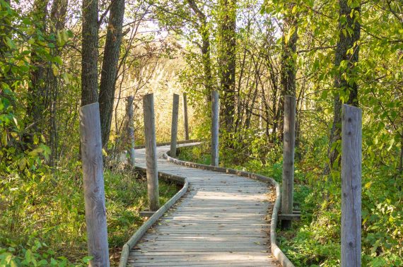 Lammassaari ja Kuusiluoto