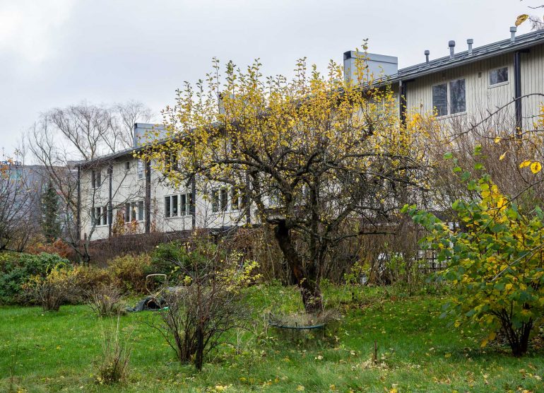 Kimmeltie Siren Tapiola arkkitehtuuri