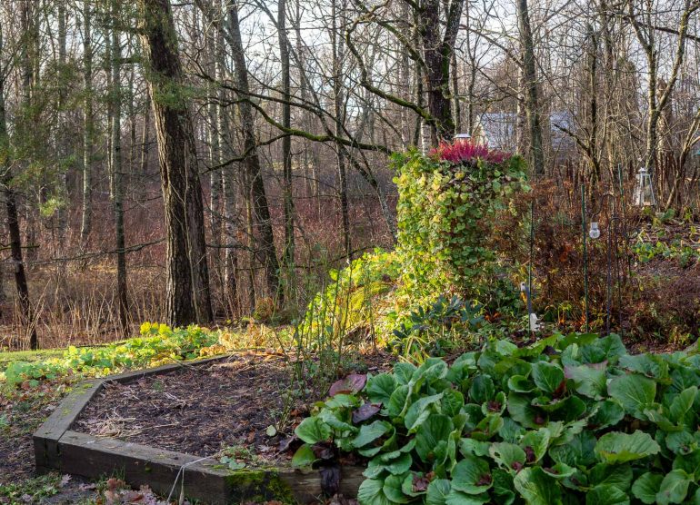 Meilahti ja Munkkiniemi