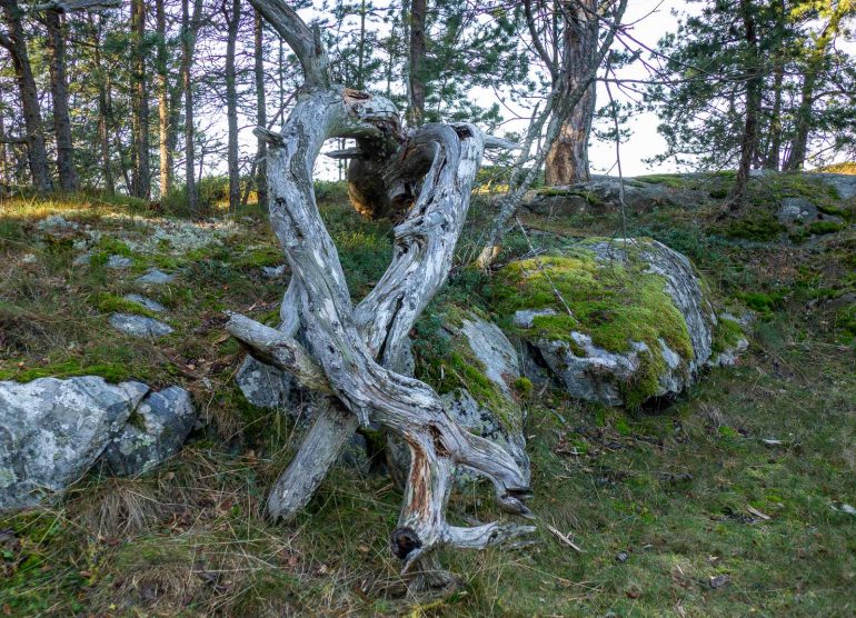 Porkkalan niemi Porkkala