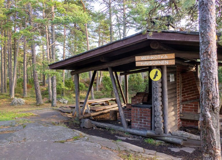 Pampskatan Merikotka