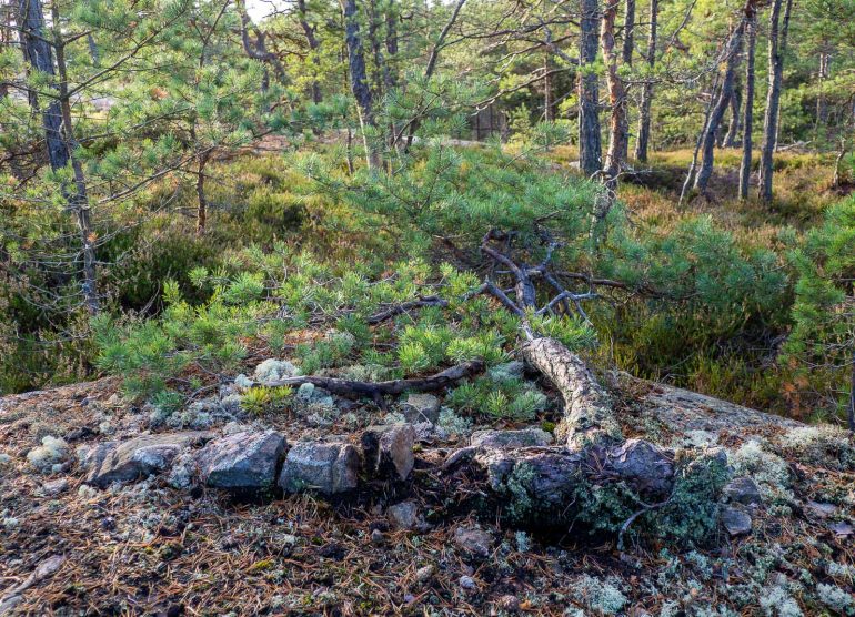 Porkkalan niemi Porkkala