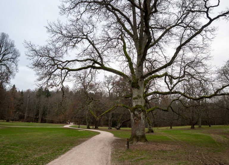 Träskandan kartano ja Glimsinjoen luontopolku