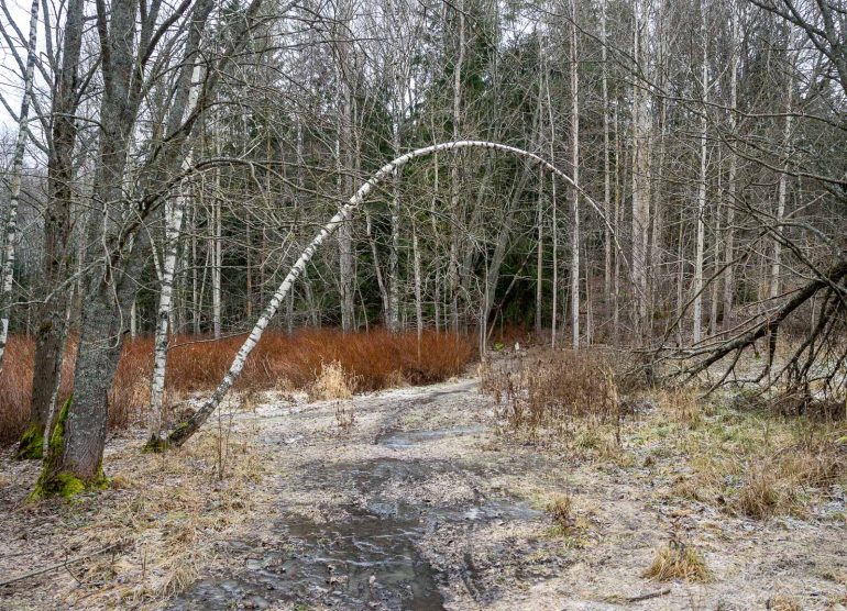 Glimsinjoen luontopolku