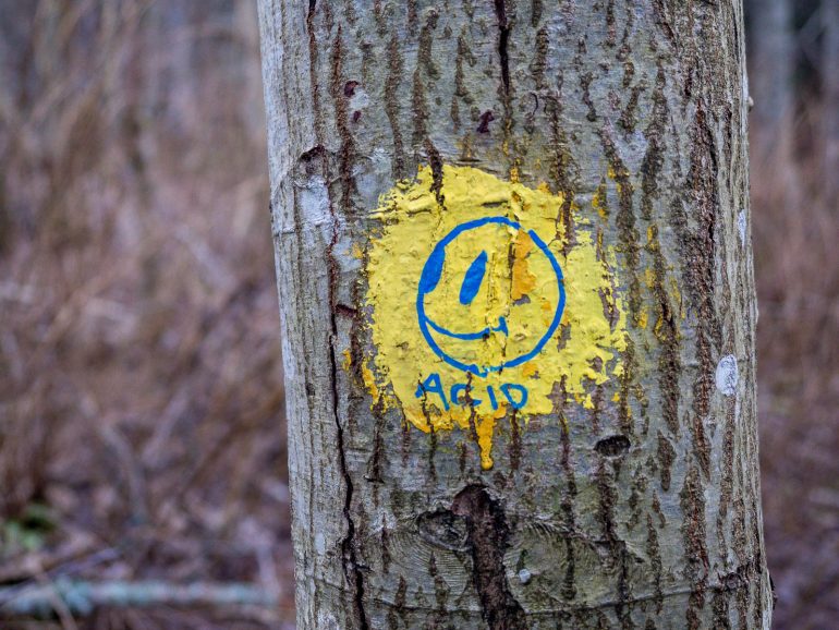 Glimsinjoen luontopolku