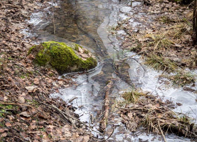 Glimsinjoen luontopolku