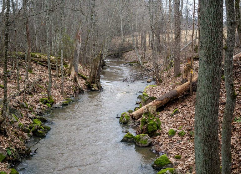 Glimsinjoen luontopolku