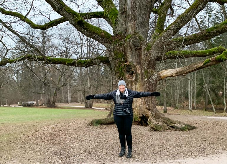 Espoon paksuin puu Träskandan kartano ja Glimsinjoen luontopolku