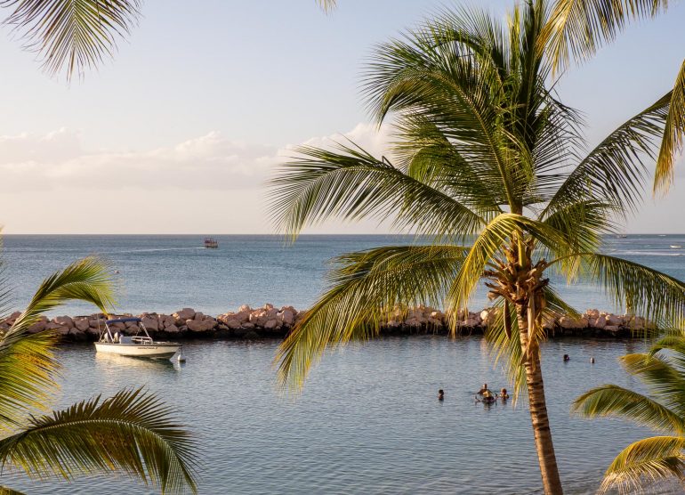 10 kuvaa 2020 tobago