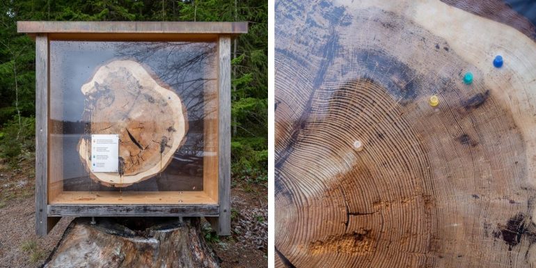 Dagmarin lähde Tammisaari