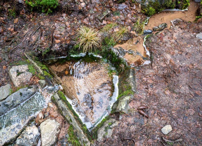 Dagmarin lähde Tammisaari