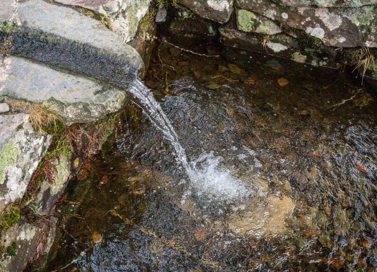 Dagmarin lähde Tammisaari