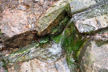 Dagmarin lähde Tammisaari