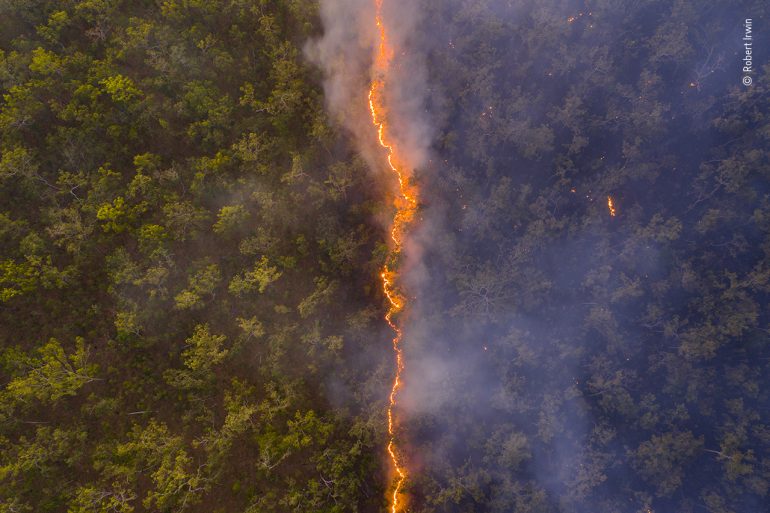 Bushfire, Australia © Robert Irwin, Wildlife Photographer of the Year