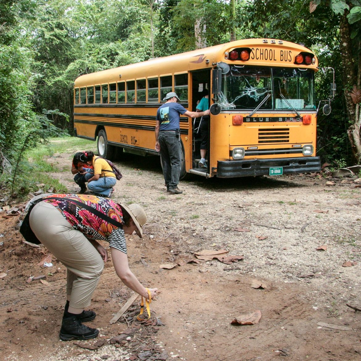 72 Belize Maat 65-80