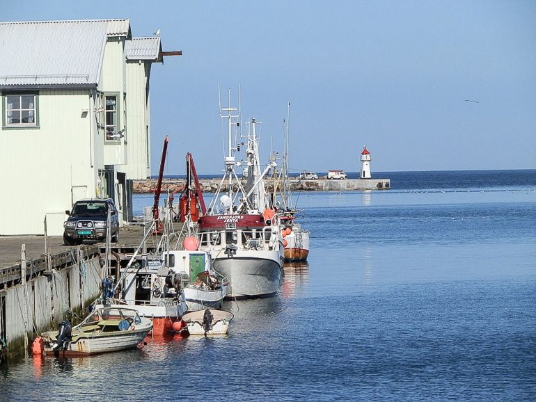 Vuoreija Merilintuja ja lintuihmisiä